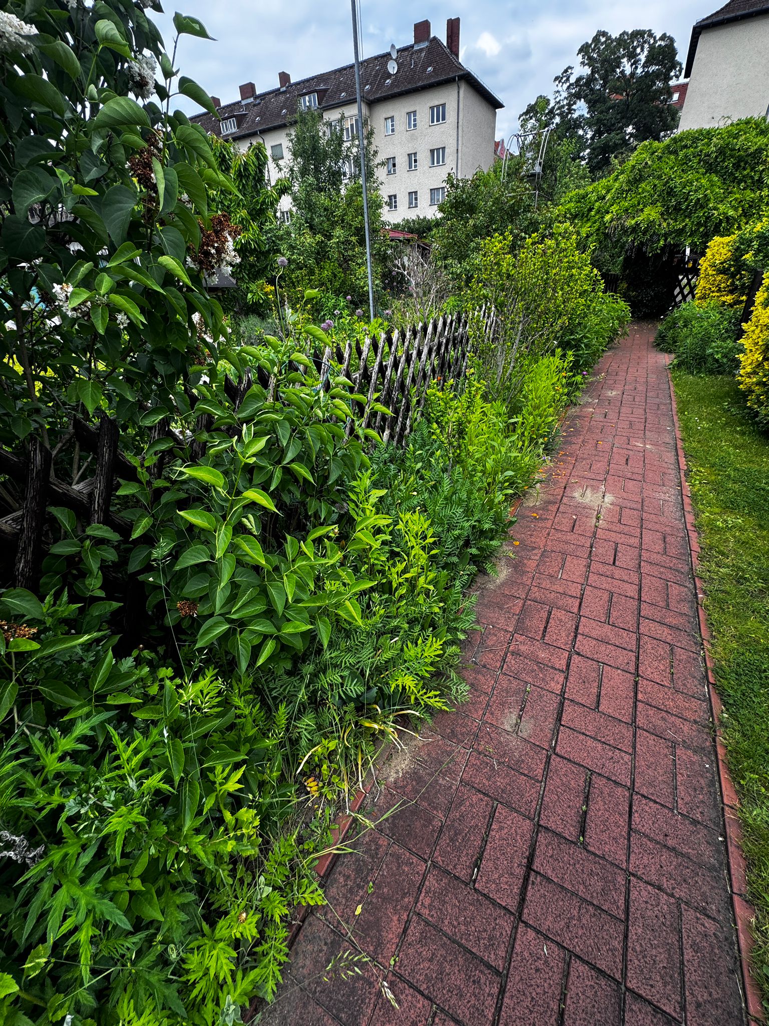 Referenz Gartenarbeit